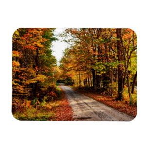 Imán Sendero de madera con follaje de otoño