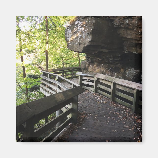 Imán sendero de madera de brandywine falls (Frente)