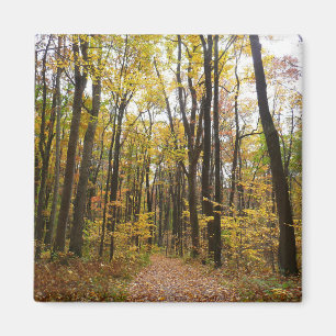 Imán Sendero de otoño y hojas doradas en Laurel Hill Pa