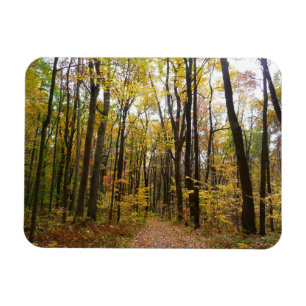 Imán Sendero de otoño y hojas doradas en Laurel Hill Pa