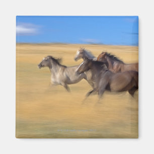 Imán Seneca de los caballos el , Oregon, los E.E.U.U.