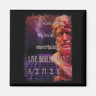 Imán Seneca Stoic Quote Live Now Stoicism Philosophy