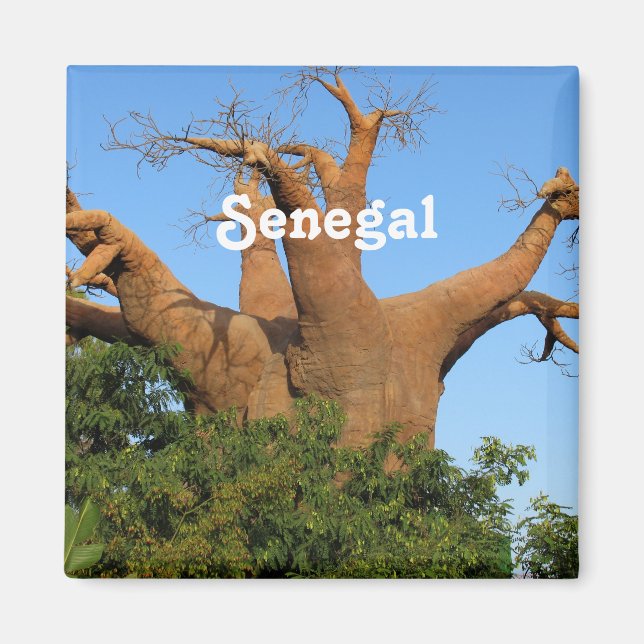 Imán Senegal (Frente)