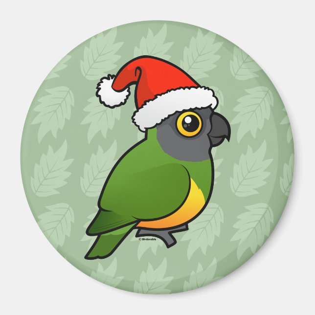 Imán Senegal Santa (Frente)