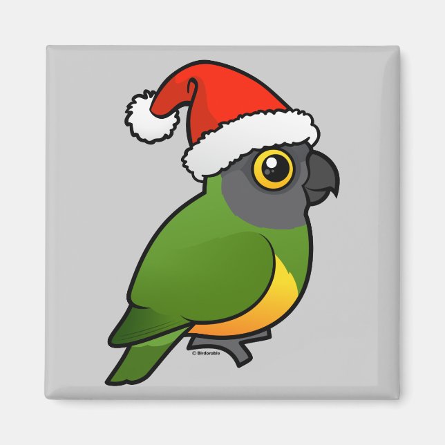 Imán Senegal Santa (Frente)