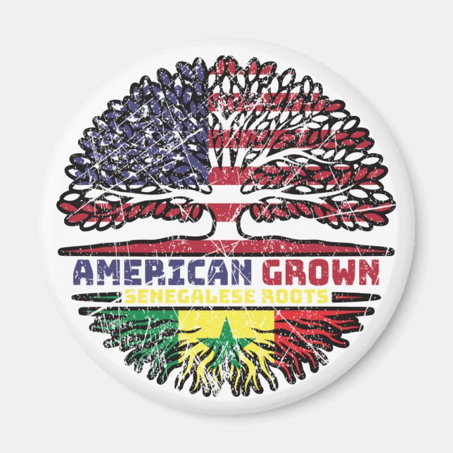 Imán Senegal Senegalés Estados Unidos de América Estado (Frente)