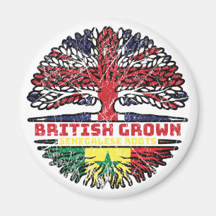 Imán Senegal Senegalés Reino Unido Árbol británico