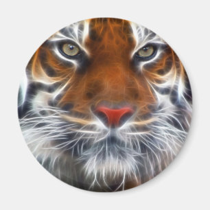 Imán Señor de las selvas indias, el tigre de Bengala