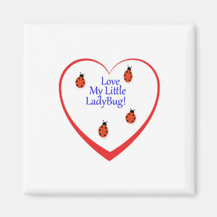 Imán Señora Bug Magnet de los ámbares