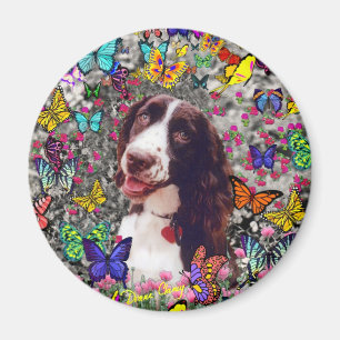 Imán Señora en mariposas - perro del perro de aguas de