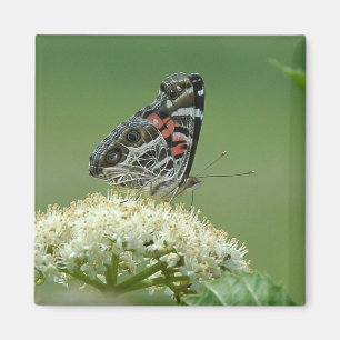 Imán Señora pintada Butterfly
