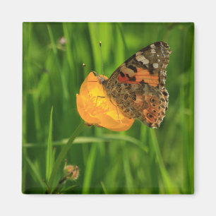 Imán Señora pintada Butterfly