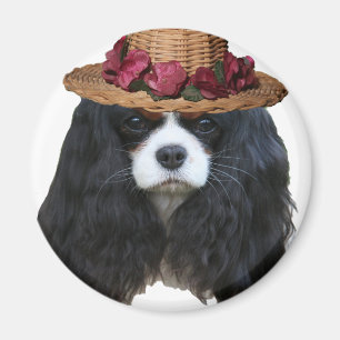Imán Señora Tansy