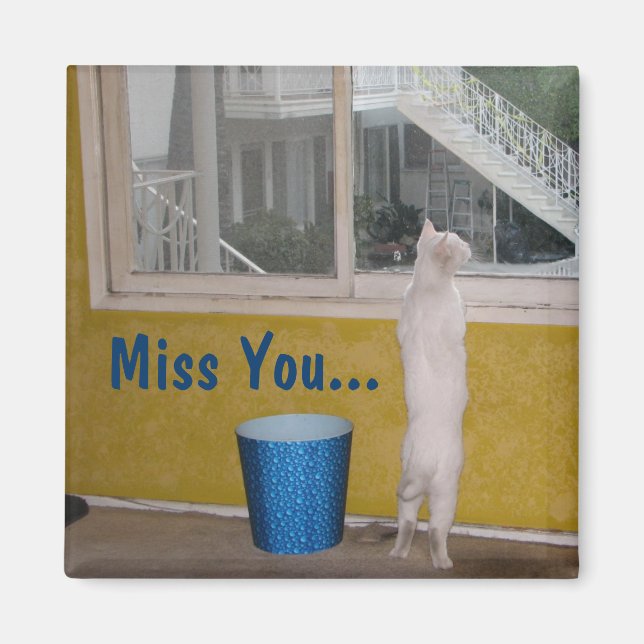 Imán Señorita... Imán! (Frente)