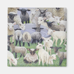 Imán Sensación de Sheepish