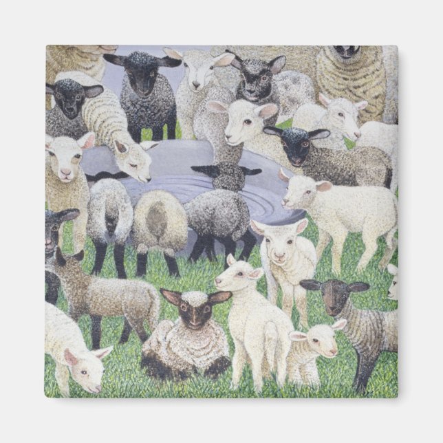 Imán Sensación de Sheepish (Frente)