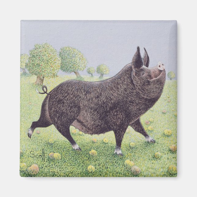 Imán Sensación grande (Frente)