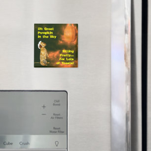 Imán Sentado Bonito para muchos tratamientos