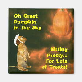 Imán Sentado Bonito para muchos tratamientos