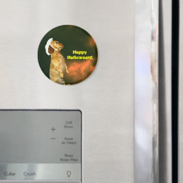 Imán Sentado Bonito para muchos tratamientos