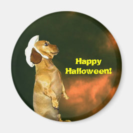 Imán Sentado Bonito para muchos tratamientos