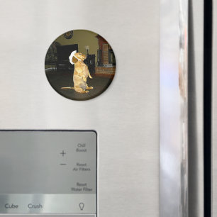 Imán Sentando Bonito o viendo televisión Dachshund