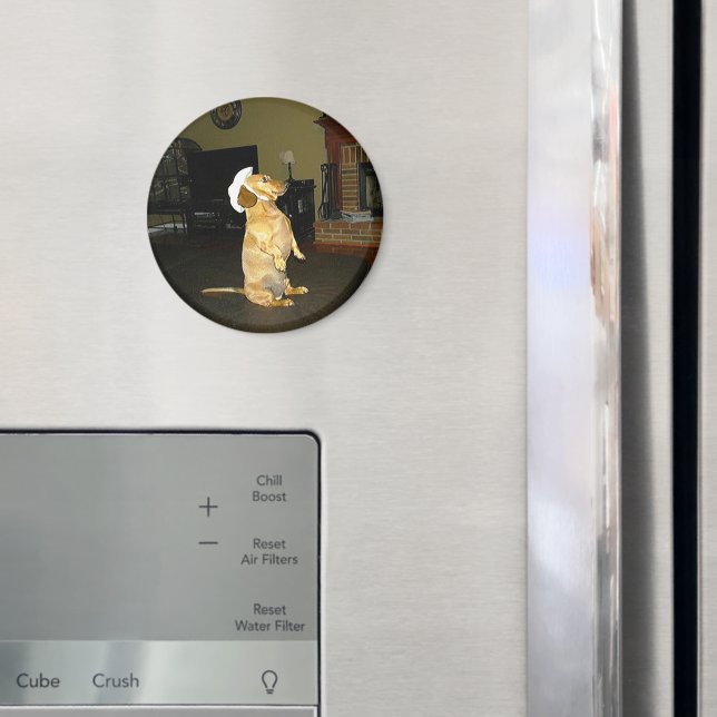 Imán Sentando Bonito o viendo televisión Dachshund (In situ (nevera))