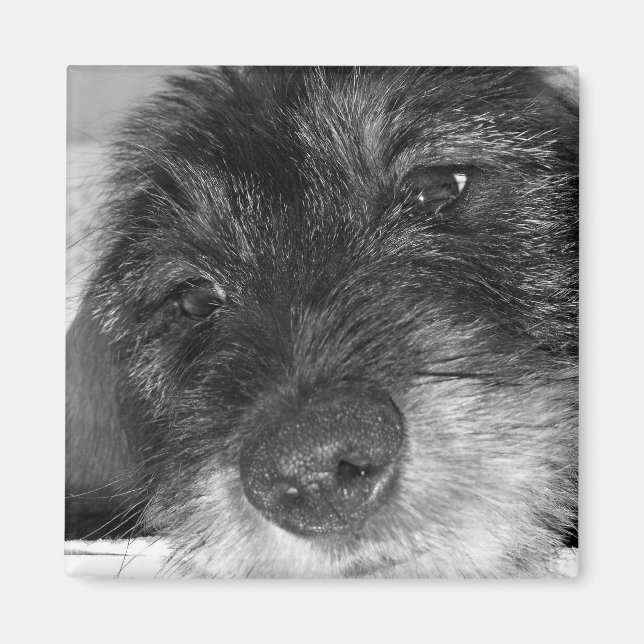 Imán Sentimental (Frente)