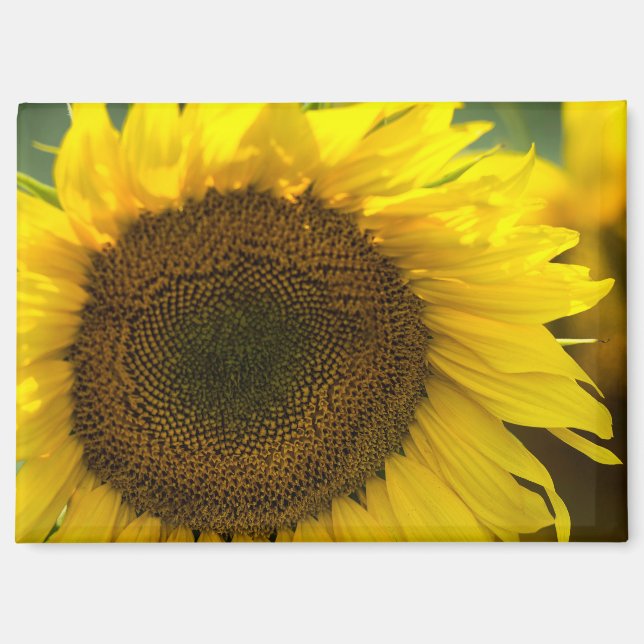 Imán - Sentimiento de verano de girasol (Anverso)
