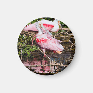 Imán Sentinel elegante: Spoonbill Magnet
