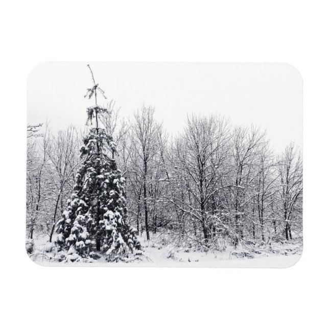 Imán separación con certeza (Horizontal)