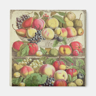 Imán Septiembre, desde "Doce meses de frutas"