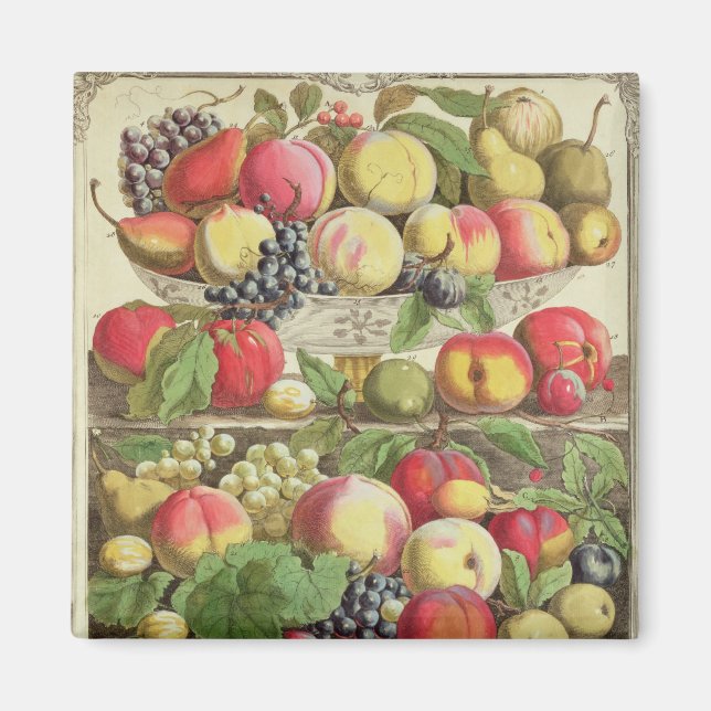 Imán Septiembre, desde "Doce meses de frutas" (Frente)