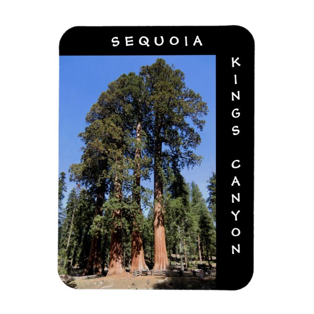 Imán Sequoia Kings Canyon Magnet (Vertical)