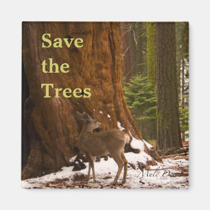 Imán Sequoia Save the Trees Magnet