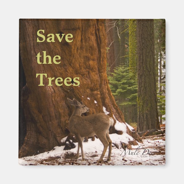 Imán Sequoia Save the Trees Magnet (Frente)