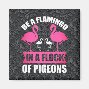 Imán Ser Un Flamenco En Una Bandada De Palomas