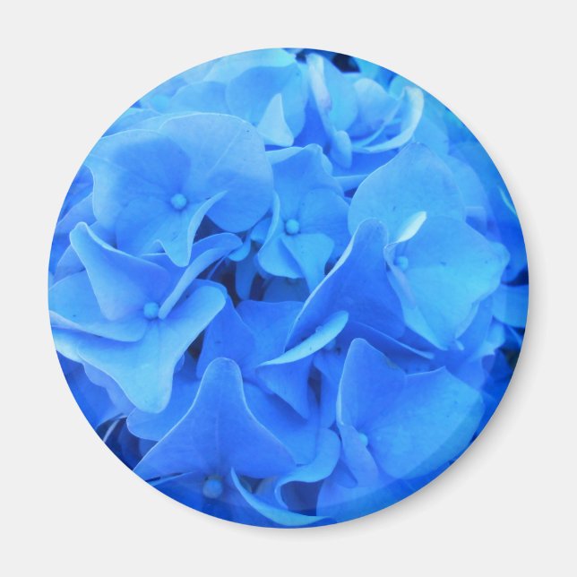 Imán Seraphine (Frente)