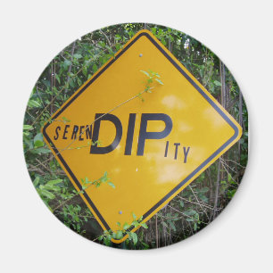 Imán Serendipity Magnet