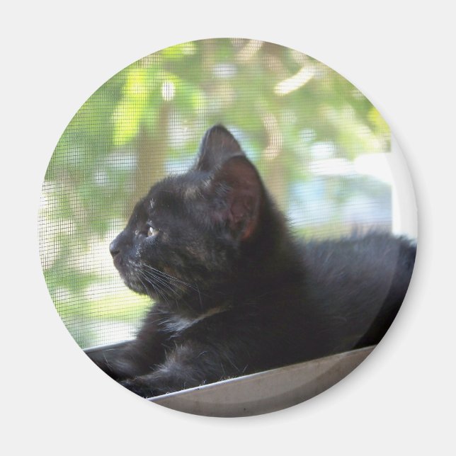 Imán Serene (Frente)