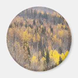 Imán Serene Autumn Forest Magnet