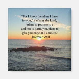 IMÁN SERENE JEREMIAH 29:11 SUNRISE