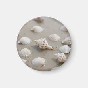 Imán Serenidad de la Playa de Conchas Delicadas