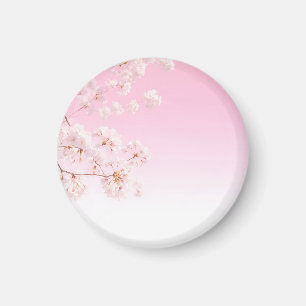 Imán Serenidad de primavera de flor de cerezo rosa