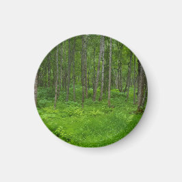 Imán Serenidad del bosque verde vibrante