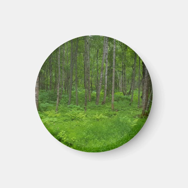 Imán Serenidad del bosque verde vibrante (Frente)