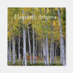 Imán Serenidad en oro y verde