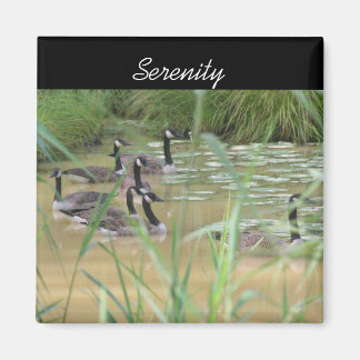 Imán Serenity Canada Geese Inspirador Nature Magnet
