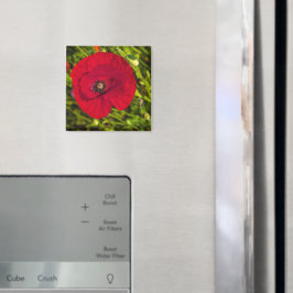 Imán Serie de amapola #2