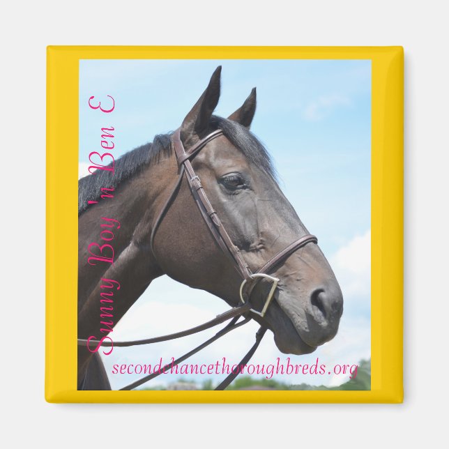 Imán Serie de imanes colectiva - Sunny Boy 'n Ben E (Frente)